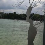 Annecy: enjoy an unforgettable city tour with a native guide - Price and Value Considerations