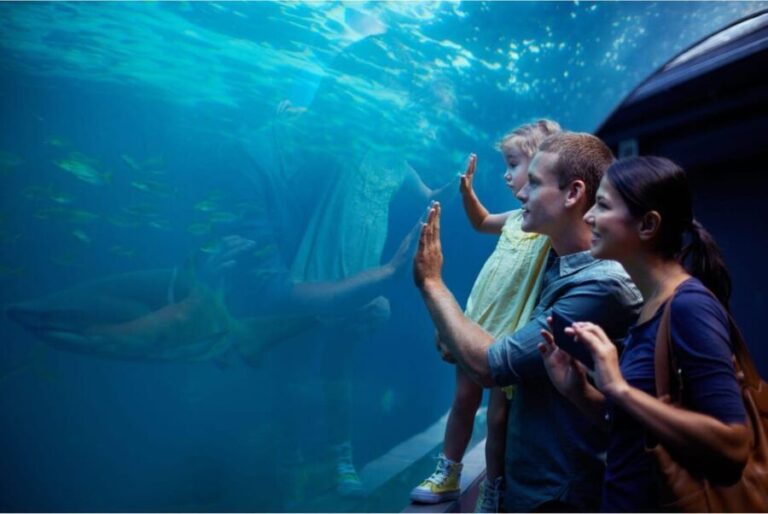 Antalya: Aquarium and Wax Museum Entry Ticket - The Wax Museum: A Lighthearted Stop