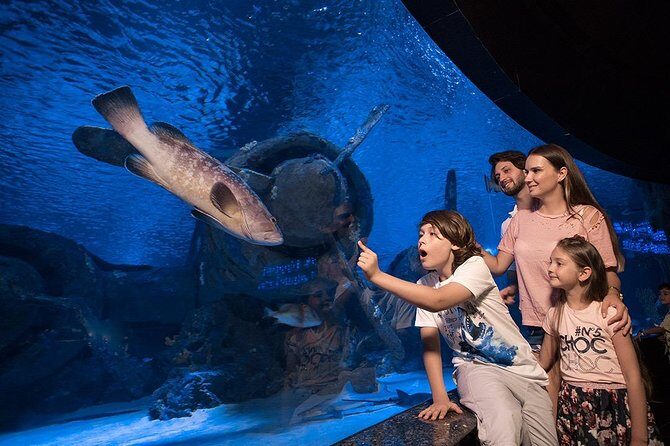 Antalya Aquarium Tour Platinium Tour - The Itinerary in Detail