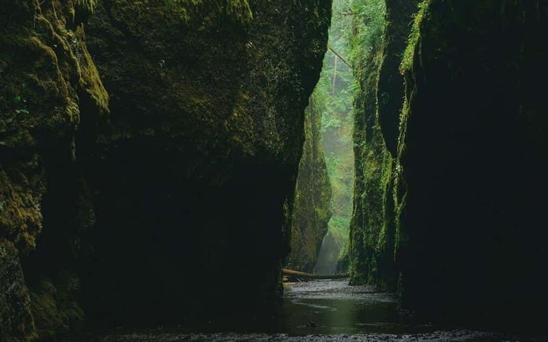 Antalya-Belek-City of Side :Green Canyon Boat Tour w/ Lunch - The Value of the Tour