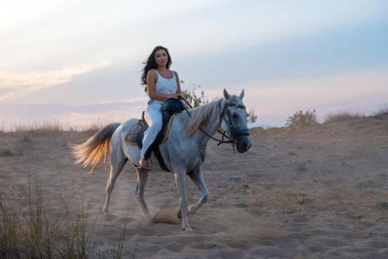 Antalya: Deniz Molal At Safarisi - What Do Reviewers Say?