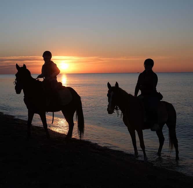 Antalya: Gallop Horseback Riding Private Tour - The Pathway to a Memorable Ride