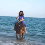 Antalya: Horse Riding on Sea and in the Forest - Who Should Consider This Tour?