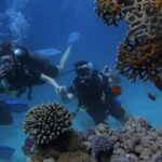 Antalya/Kemer Scuba Diving with Pickup, Lunch, and 2 Dives - Key Points