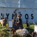 Antalya: Olympos Cable Car & Tahtali Mountains with Transfer - The Highlights: Why People Love This Tour