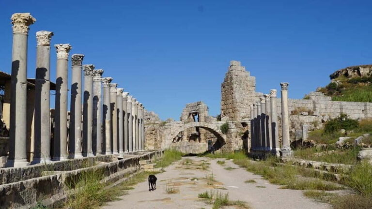 Antalya: Perge Ancient City Tour - A Closer Look at the Perge Ancient City Tour