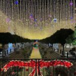 Antalya: The Land of Legends New Year Festive Show - Who Is This Tour Best For?