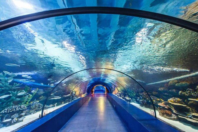 Antalya Tunnel Aquarium - Departure from Side - Second Stop: Antalya Aquarium