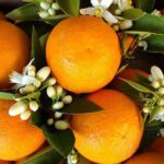 Antalya's Archaeological Treasures Tour - What’s Included and How It Enhances Your Day