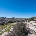 Antequera Palaeolithic and Torcal World Heritage from Malaga - Who Would This Tour Suit?