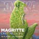 Antwerp: Royal Museum of Fine Arts Entry Ticket - What’s Not So Perfect?