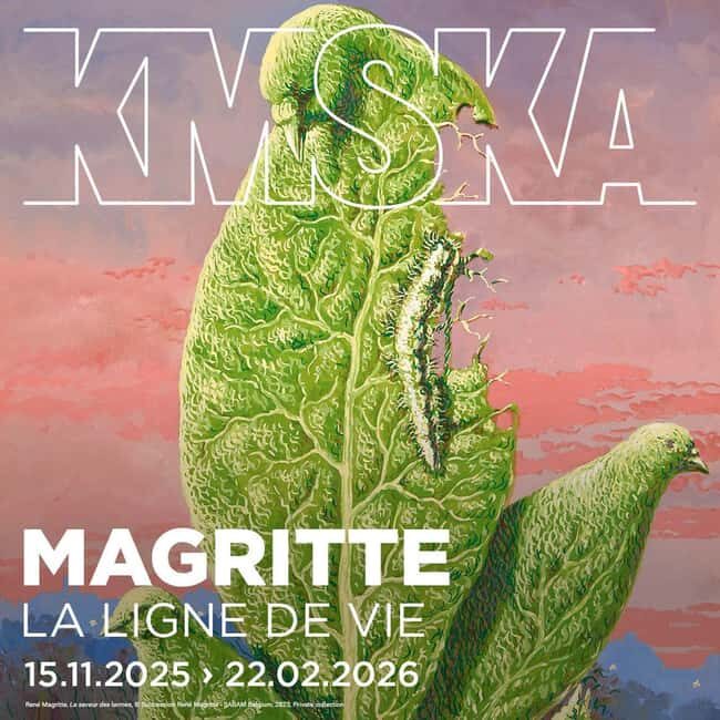 Antwerp: Royal Museum of Fine Arts Entry Ticket - What’s Not So Perfect?