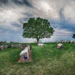 ANZAC Dawn Service Tour From Istanbul - Who Would This Tour Suit?