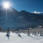 Aosta Valley: Visit and wine tasting at the Grosjean winery - The Value and Practicalities