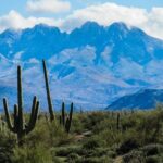 Apache Trail Private Half-Day Tour - Who’s This Tour For?