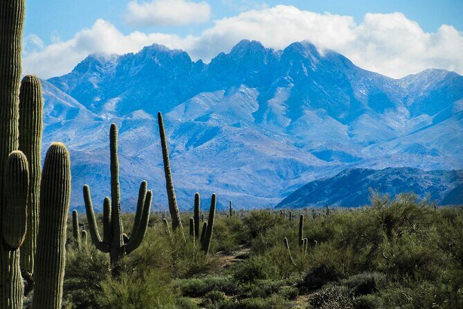 Apache Trail Private Half-Day Tour - Who’s This Tour For?
