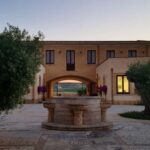 Aperitif in the Vineyard: organic wine tasting in Mazara del Vallo - Key Points