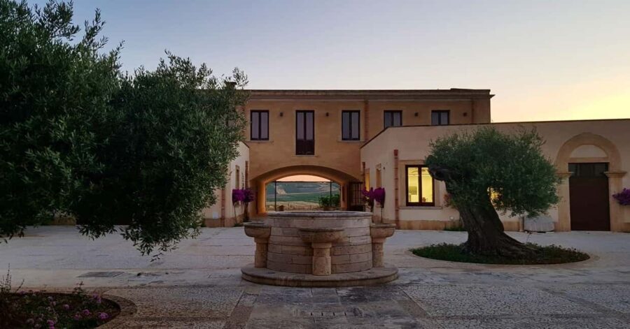 Aperitif in the Vineyard: organic wine tasting in Mazara del Vallo - Key Points