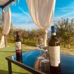Aperitivo e degustazione di vini in vigna alla Cantina Sacco - How the Pricing Reflects the Experience