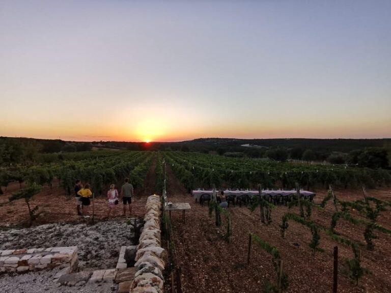 Apulia: Guided Wine Tasting with Local Appetizers - What You Can Expect from the Tour