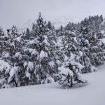 Aragonese Pyrenees: Building Igloos and Snow Caves - Key Points