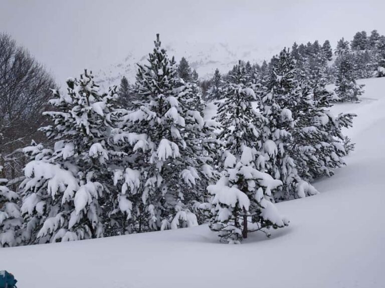 Aragonese Pyrenees: Building Igloos and Snow Caves - Key Points