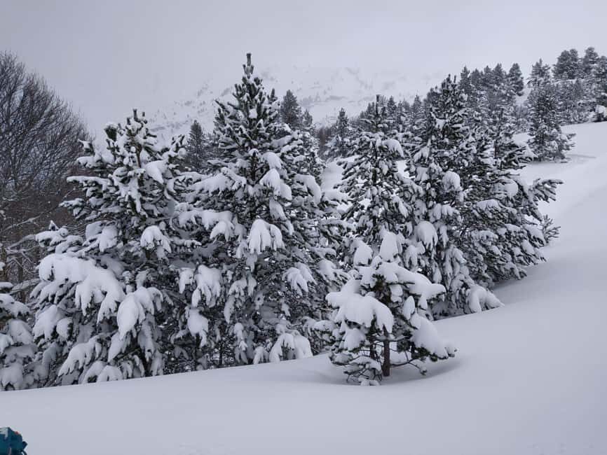 Aragonese Pyrenees: Building Igloos and Snow Caves - Key Points