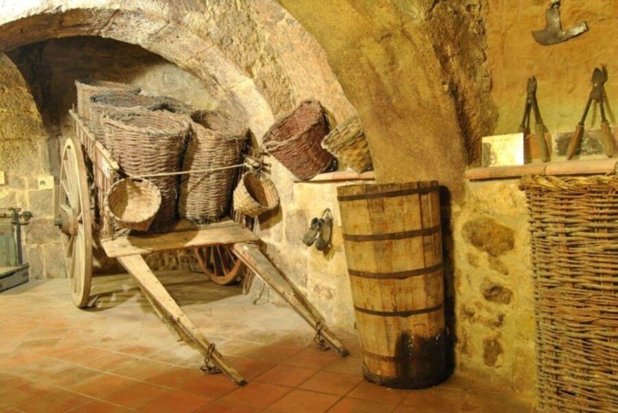 Aranda de Duero: Tour of Underground Cellar and Wine Museum - The Practical Details