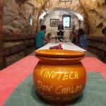 Aranda de Duero: Wine Tasting Course with Iberian Tasting - What Does the Tour Include and Exclude?