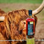 Arbikie Highland Estate: Whisky Tour and Tasting - The Experience in Detail