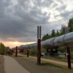 Arctic Circle Full-Day Adventure from Fairbanks - Frequently Asked Questions