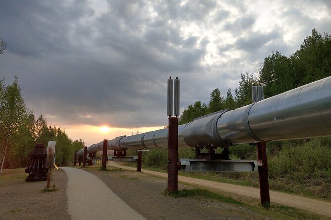 Arctic Circle Full-Day Adventure from Fairbanks - Frequently Asked Questions