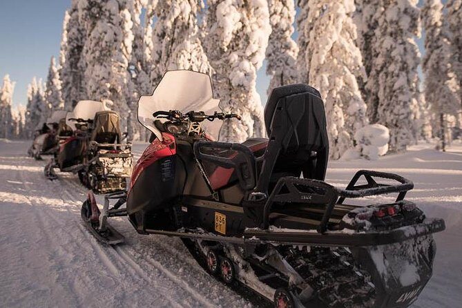 Arctic Circle Snowmobile Safari for Beginners in Rovaniemi - The Real Experience: What Travelers Are Saying