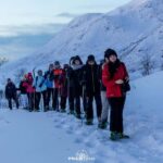 Arctic hike on Kvaløya Island with drinks and snacks - Detailed Breakdown of the Tour Itinerary