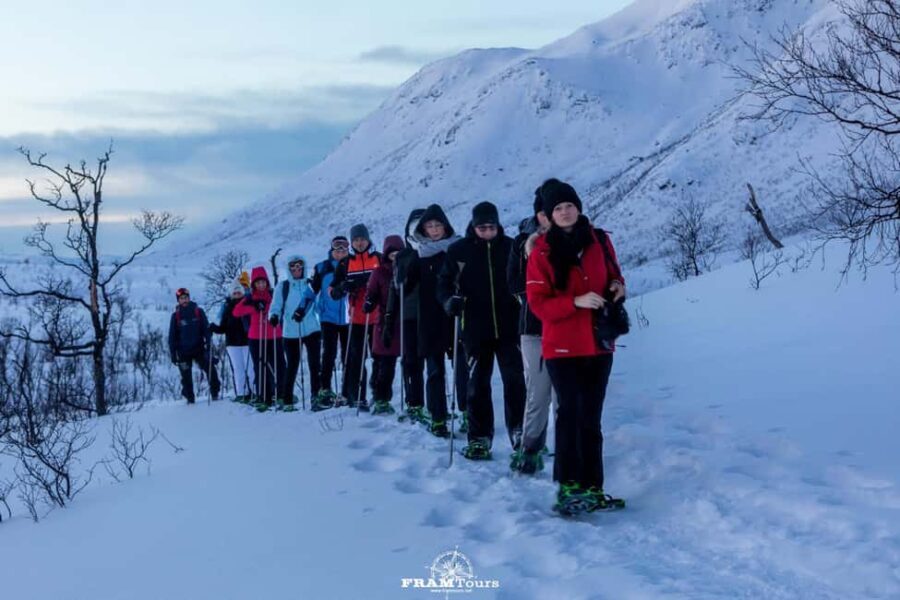 Arctic hike on Kvaløya Island with drinks and snacks - Detailed Breakdown of the Tour Itinerary