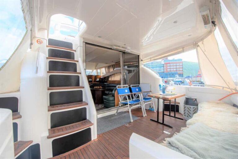 Arctic Whale Watching: Tromsø to Skjervøy in Comfort - Wildlife Watching & Whale Sightings