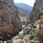 Ardales: Caminito del Rey & El Gaitanejo Guided Walking Tour - Final Thoughts: Is This Tour for You?