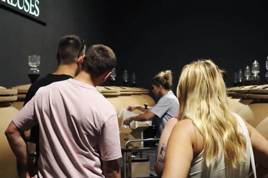 Ardèche: Tour and tasting of wines aged in amphorae and barrels - The Tasting Experience