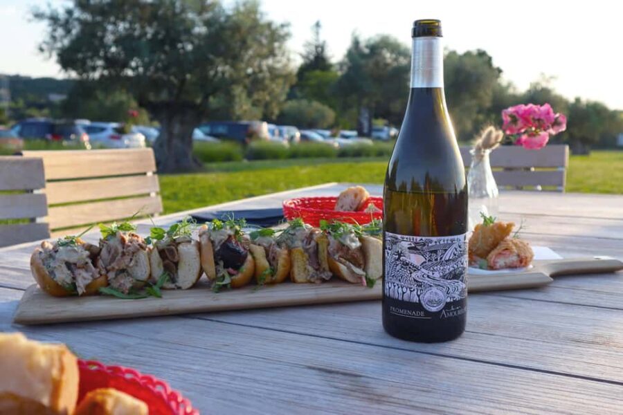 Ardèche: Wine workshop at Domaine les Amoureuses - A Closer Look at the Experience