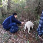 Arezzo: truffle hunting, tasting, cooking class with truffles. - Practical Details and Tips