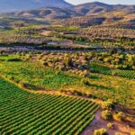 Argo Cultural Arts and Tastings Private Tour - Value and Practical Tips