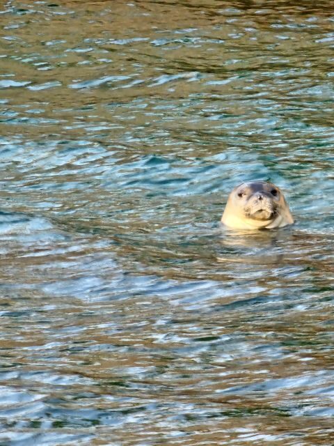 Argostoli: Full-Day Traditional Boat Cruise with Lunch - Itinerary Breakdown