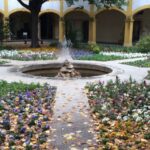 Arles: Art and History Walking Tour - Walking Through Time: Roman Monuments