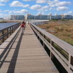 Armação de Pera: Salgados Natural Park E-Bike Tour - Who Should Consider This Tour?