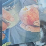 Armamar: Apple Orchard Tour with Lunch and Tastings - The Practical Stuff: What to Expect