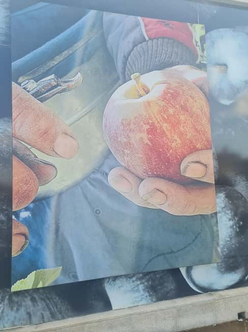 Armamar: Apple Orchard Tour with Lunch and Tastings - The Practical Stuff: What to Expect