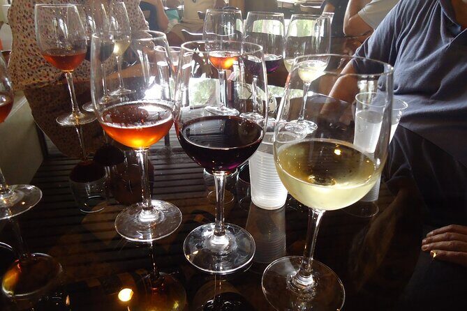 Arrabida and Bacalhoa Wine Tasting Private Tour from Lisbon - The Reality of the Guide Experience