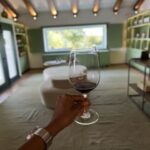 Arrábida: Mountain, Food, and Wine Tasting Tour - Transport, Timing, and Group Experience