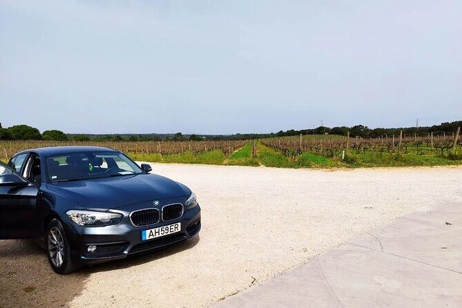 Arrábida & Setúbal Wine Tour: Food & All-Inclusive from Lisbon - Exploring Portugals Hidden Gems on a Full-Day Tour