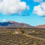 Arrecife: Timanfaya and Green Lagoon for Cruise Passengers - What Are the Downsides?